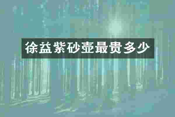 徐益紫砂壶最贵多少