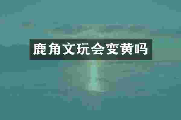 鹿角文玩会变黄吗