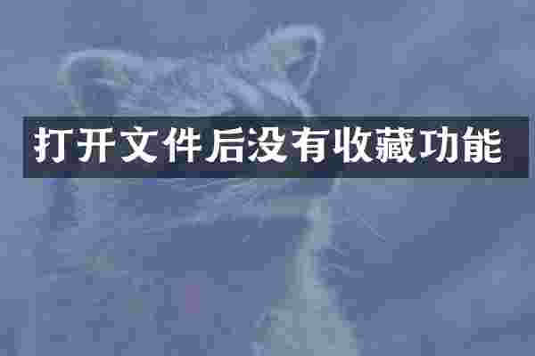 打开文件后没有收藏功能