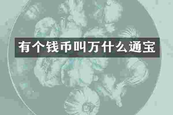 有个钱币叫万什么通宝