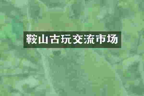鞍山古玩交流市场