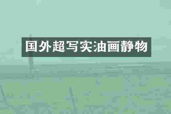 国外超写实油画静物