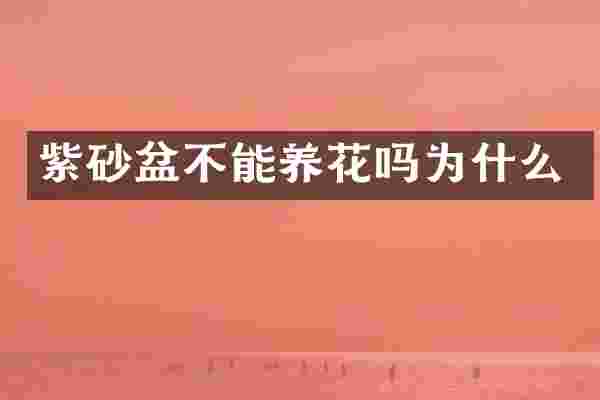 紫砂盆不能养花吗为什么