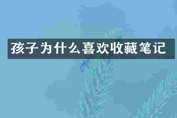 孩子为什么喜欢收藏笔记