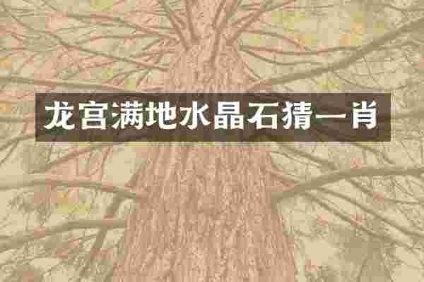 龙宫满地水晶石猜