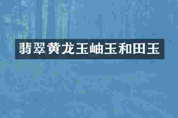 翡翠黄龙玉岫玉和田玉
