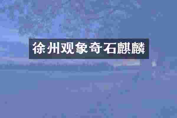 徐州观象奇石麒麟