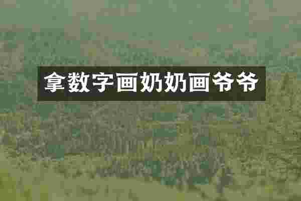 拿数字画奶奶画爷爷