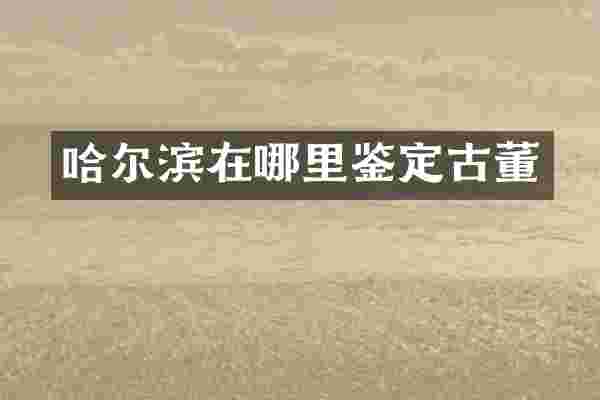 哈尔滨在哪里鉴定古董