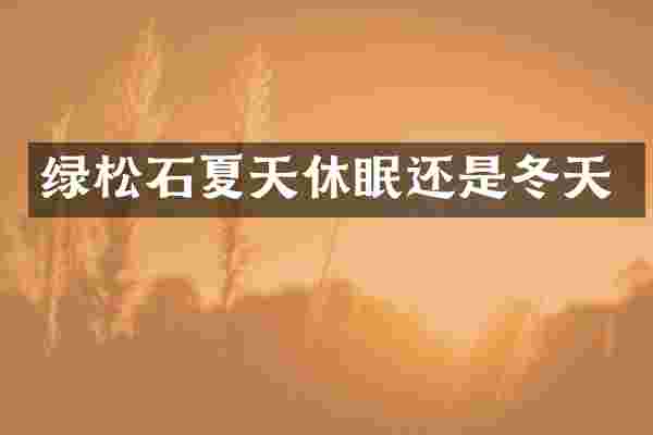 绿松石夏天休眠还是冬天