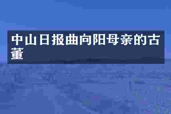 中山日报曲向阳母亲的古董