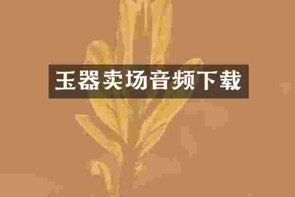 玉器卖场音频下载