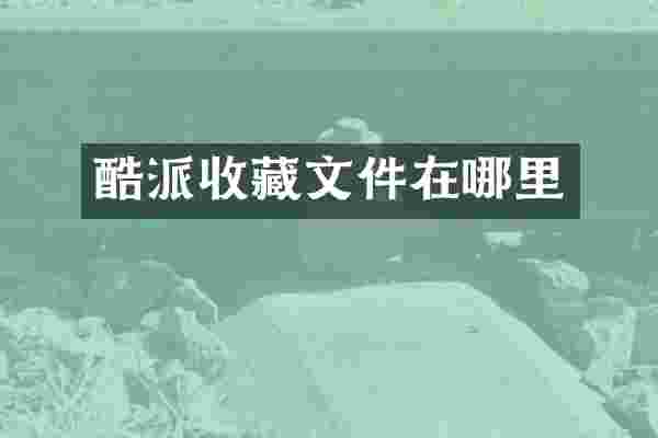 酷派收藏文件在哪里