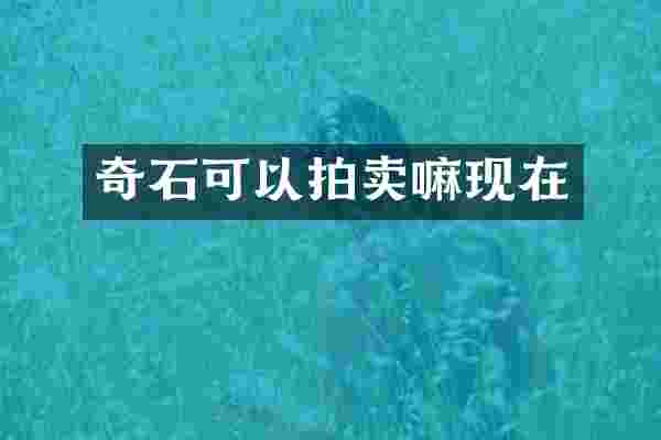 奇石可以拍卖嘛现在
