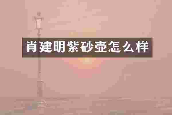 肖建明紫砂壶怎么样