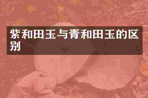 紫和田玉与青和田玉的区别