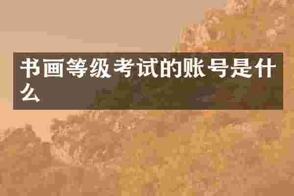 书画等级考试的账号是什么
