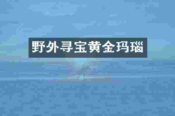 野外寻宝黄金玛瑙