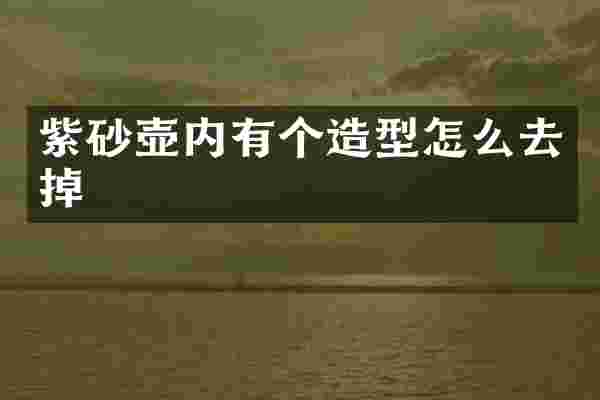紫砂壶内有个造型怎么去掉