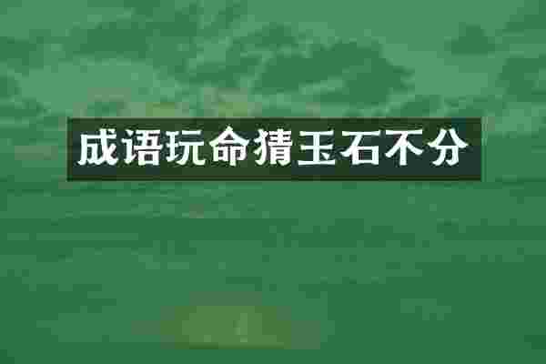 成语玩命猜玉石不分