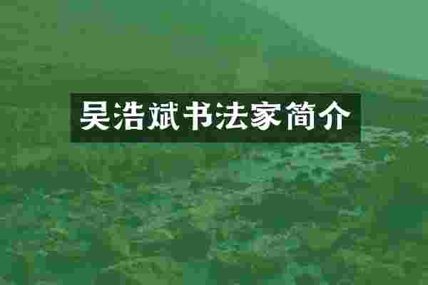 吴浩斌书法家简介
