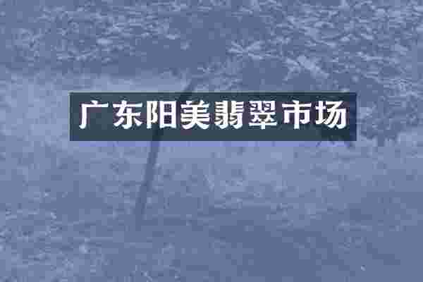 广东阳美翡翠市场