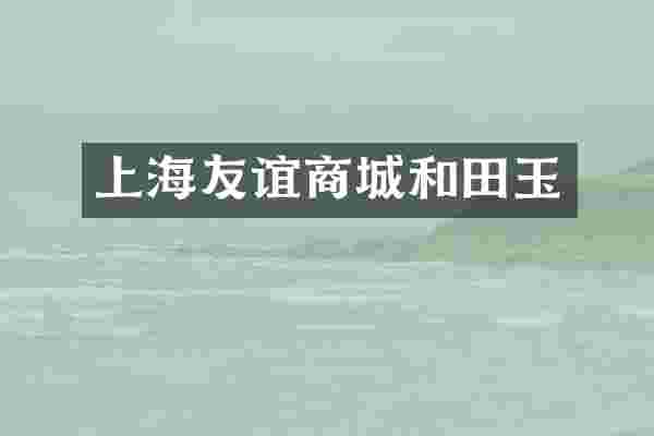 上海友谊商城和田玉