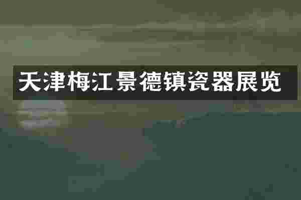 天津梅江景德镇瓷器展览