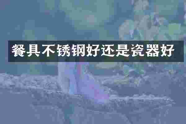 餐具不锈钢好还是瓷器好