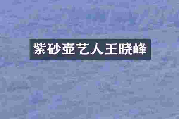 紫砂壶艺人王晓峰