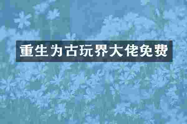 重生为古玩界大佬免费