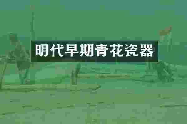 明代早期青花瓷器