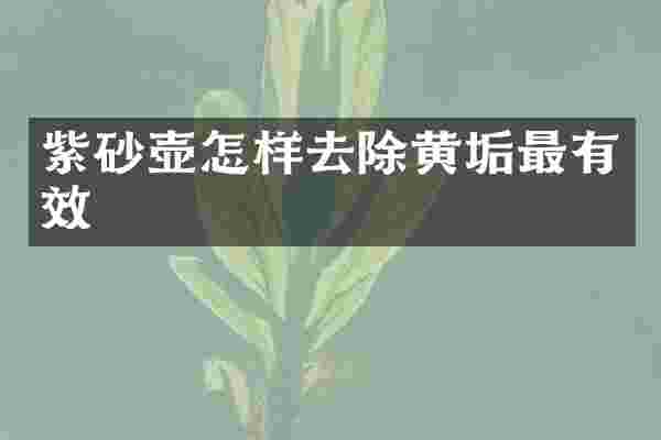 紫砂壶怎样去除黄垢最有效