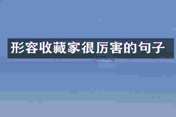 形容收藏家很厉害的句子
