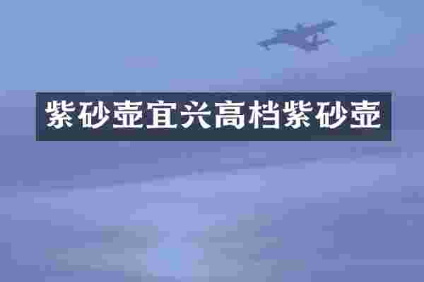 紫砂壶宜兴高档紫砂壶