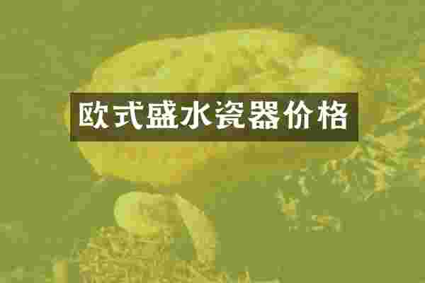 欧式盛水瓷器价格