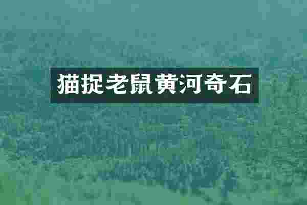 猫捉老鼠黄河奇石