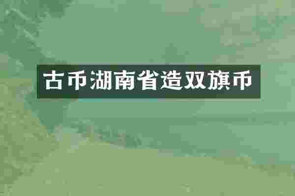 古币湖南省造双旗币
