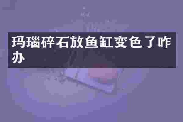 玛瑙碎石放鱼缸变色了咋办