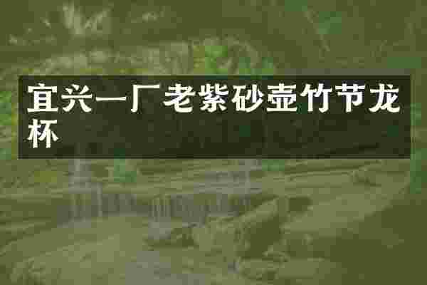 宜兴一厂老紫砂壶竹节龙杯