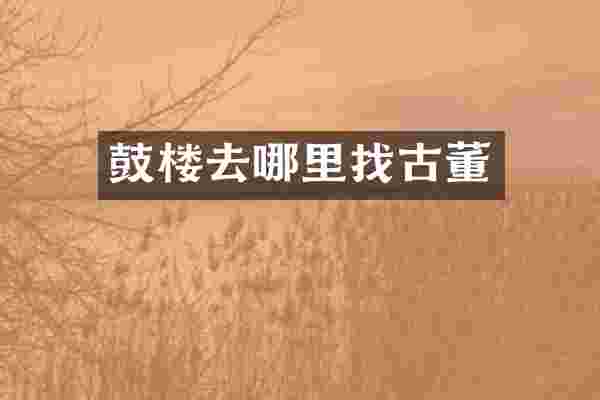 鼓楼去哪里找古董