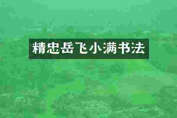 精忠岳飞小满书法