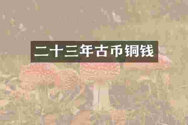 二十三年古币铜钱