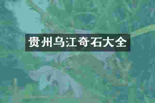 贵州乌江奇石大全