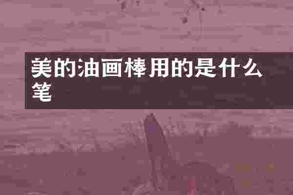 美玥的油画棒用的是什么笔
