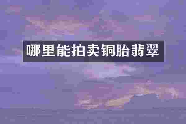 哪里能拍卖铜胎翡翠