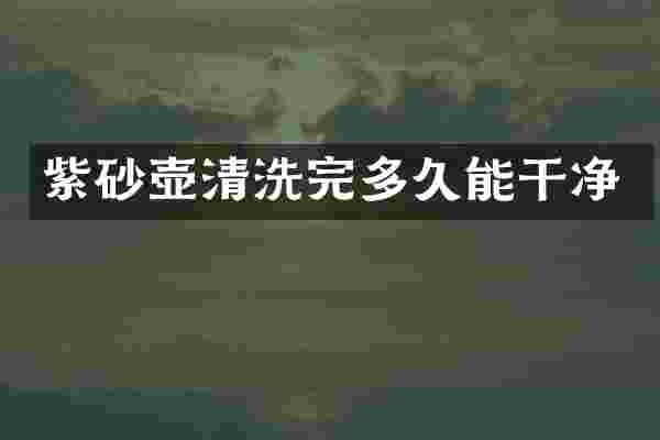 紫砂壶清洗完多久能干净