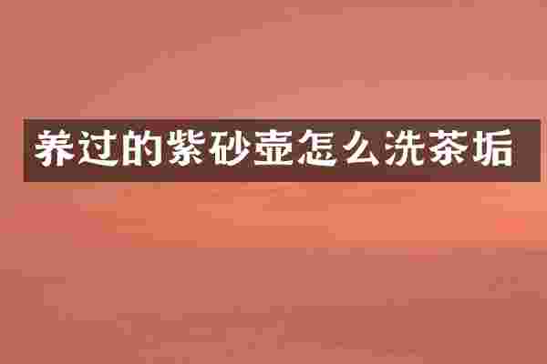 养过的紫砂壶怎么洗茶垢