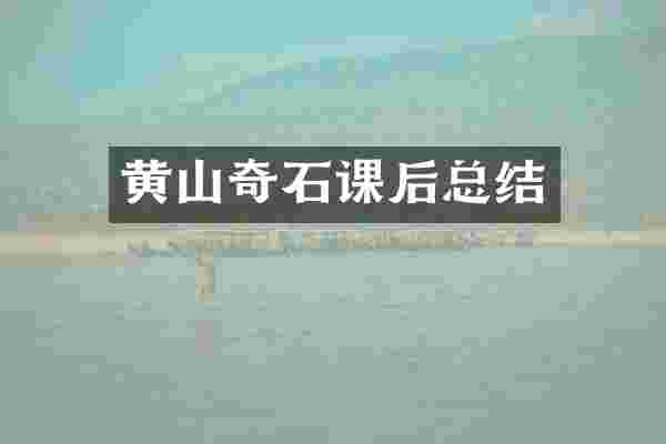 黄山奇石课后总结