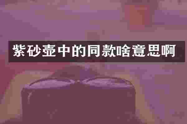 紫砂壶中的同款啥意思啊